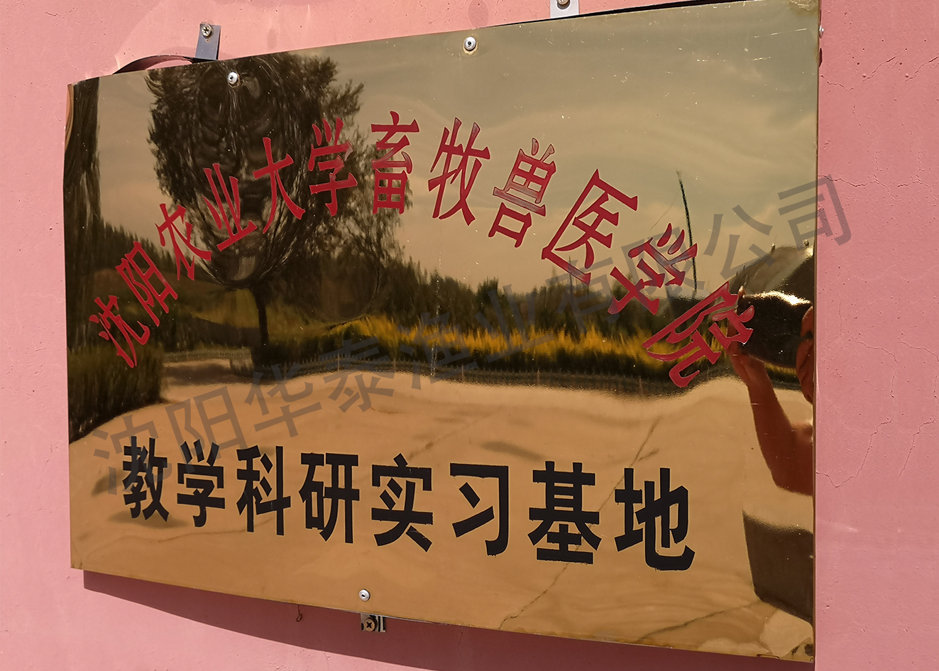 &#27431;&#23453;&#23448;&#26041;&#119;&#101;&#98;&#31449;&#45;&#79;&#112;&#101;&#108;&#32;&#111;&#98;&#40;&#20013;&#22269;&#41;